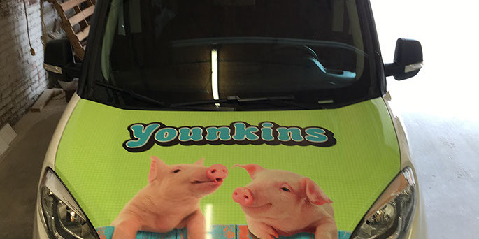 youngkins vehicle wrap